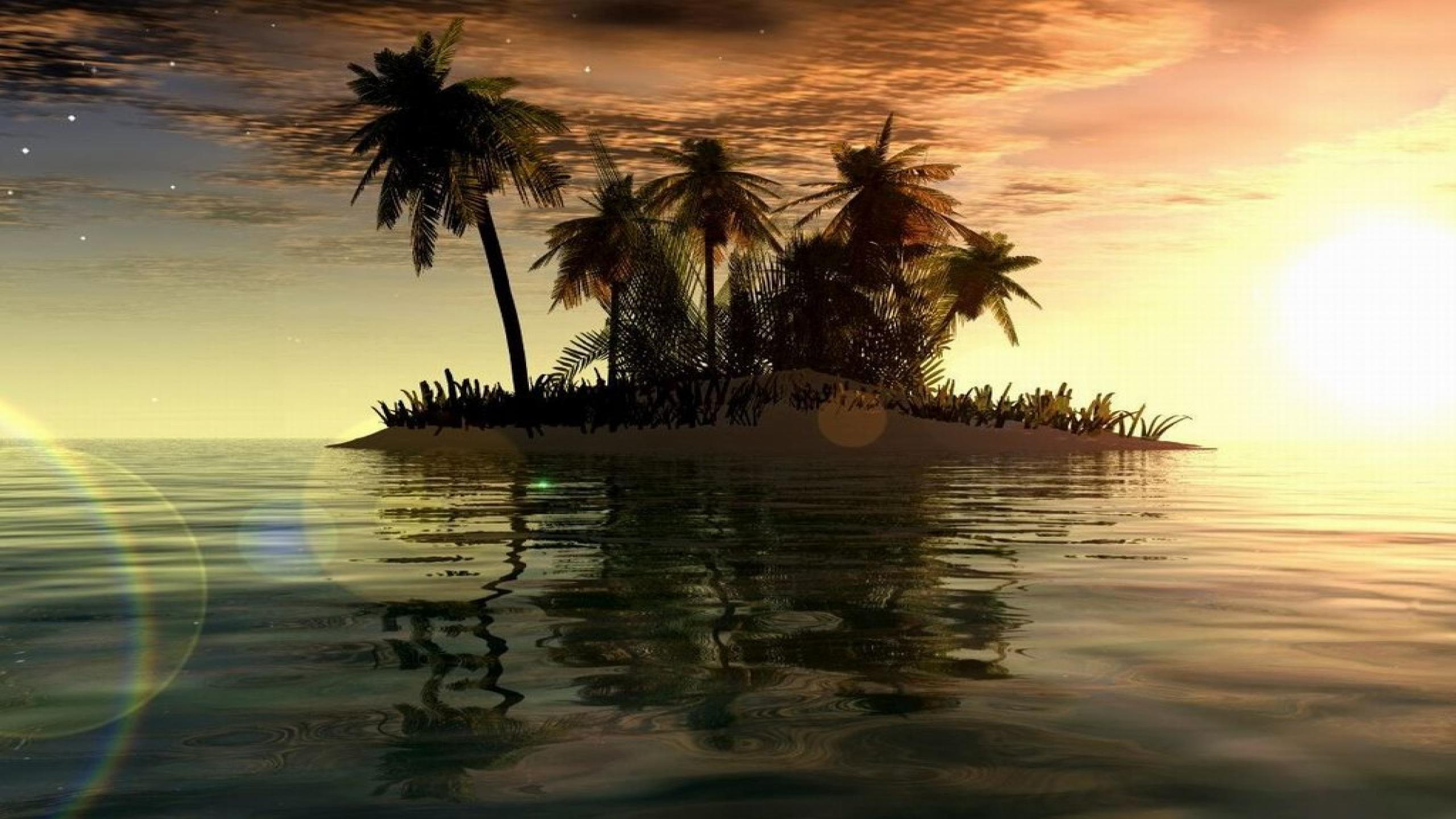 Обои тропическая зона, Пальма, закат, отражение, вода в разрешении 2560x1440