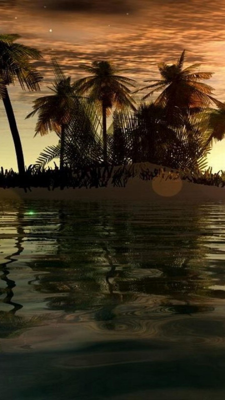 Обои тропическая зона, Пальма, закат, отражение, вода в разрешении 720x1280