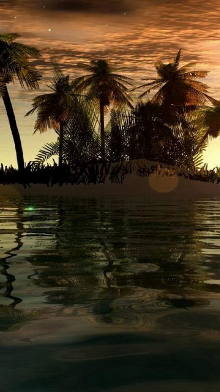 Обои тропическая зона, Пальма, закат, отражение, вода в разрешении 750x1334