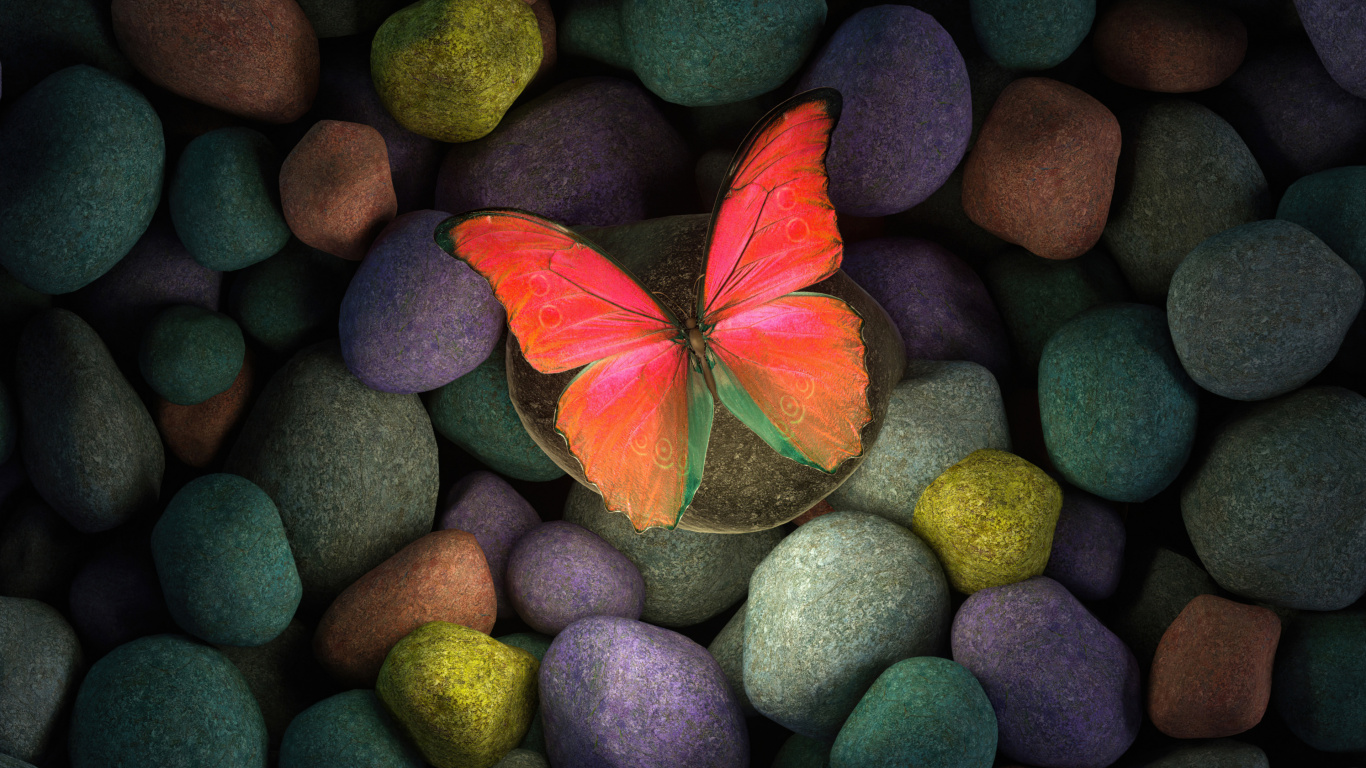 Обои растение, лист, опылитель, природа, ботаники в разрешении 1366x768