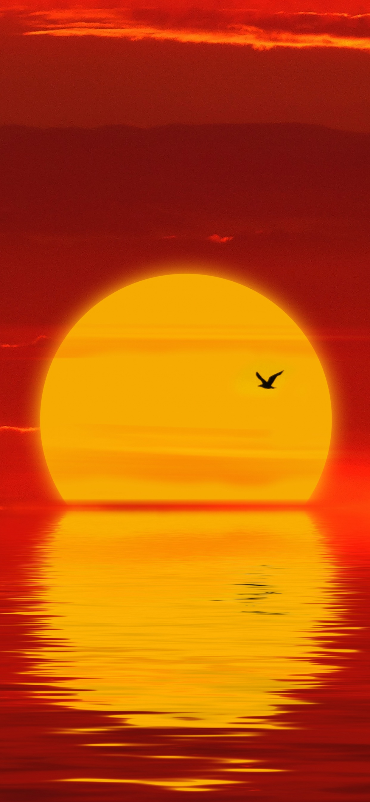 Обои закат, горизонт, послесвечение, красный цвет, Апельсин в разрешении 1242x2688