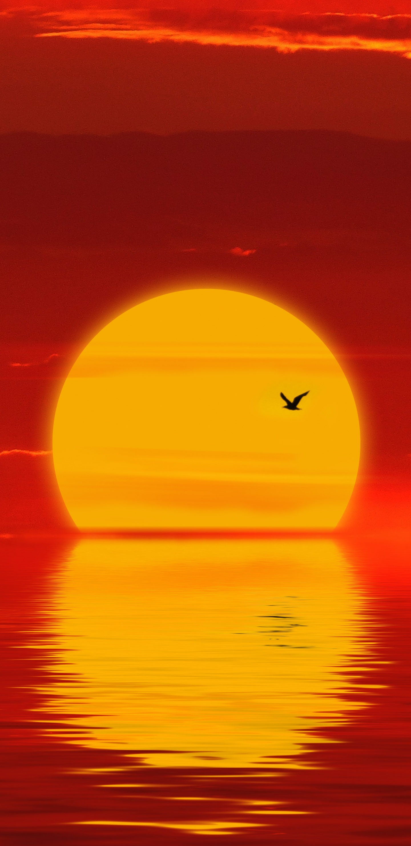 Обои закат, горизонт, послесвечение, красный цвет, Апельсин в разрешении 1440x2960
