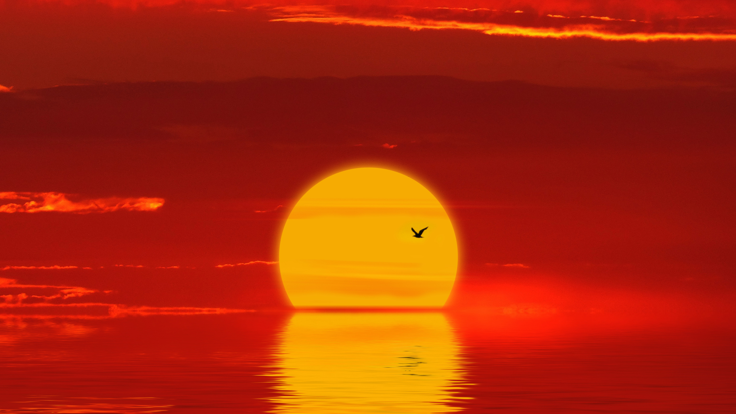 Обои закат, горизонт, послесвечение, красный цвет, Апельсин в разрешении 2560x1440