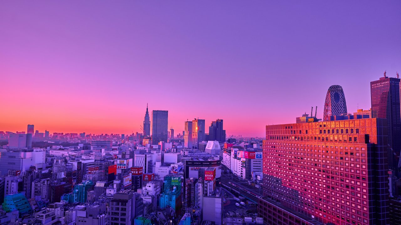 Обои город, здание, пурпур, цветной, линия горизонта в разрешении 1280x720