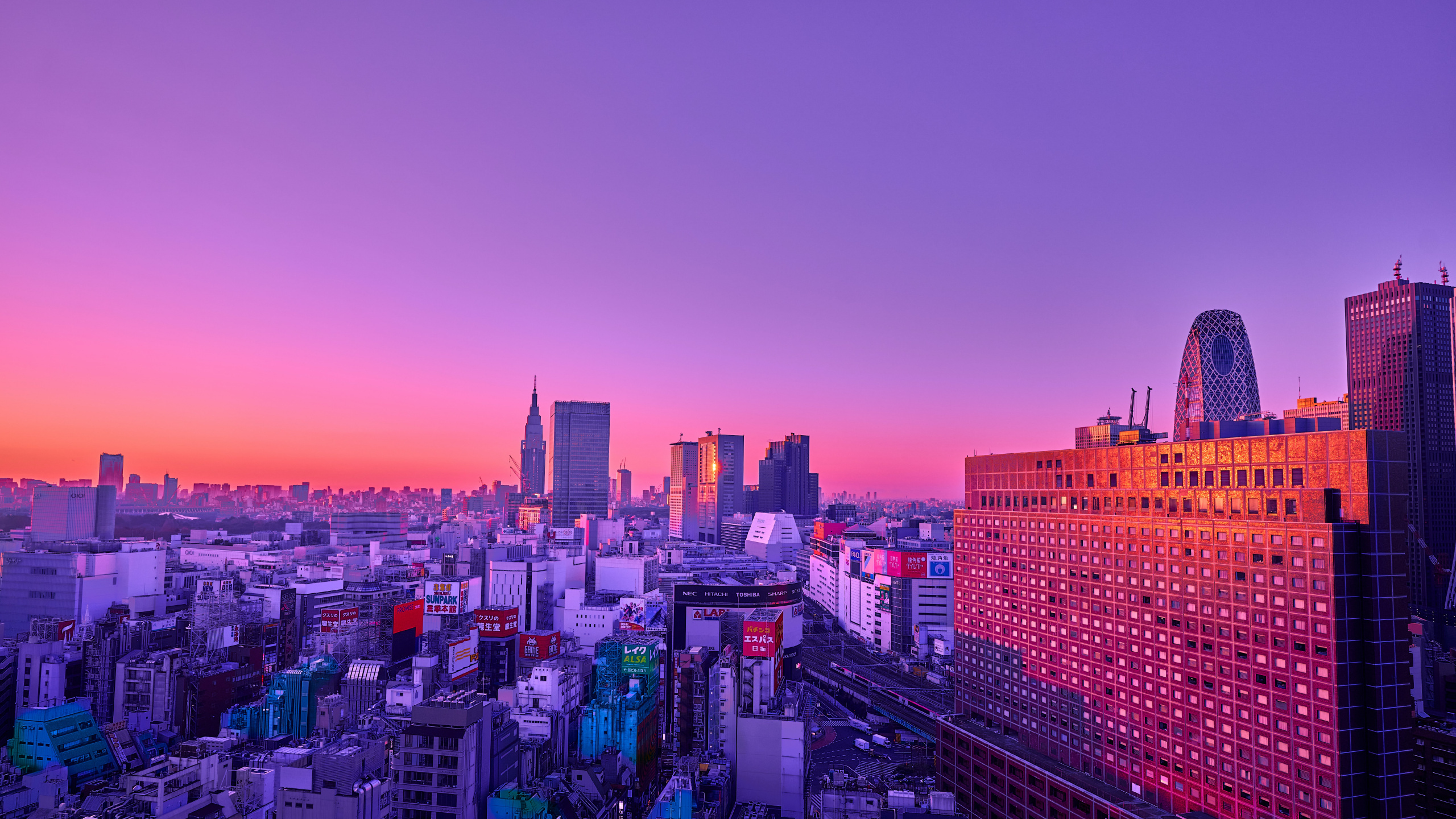Обои город, здание, пурпур, цветной, линия горизонта в разрешении 2560x1440