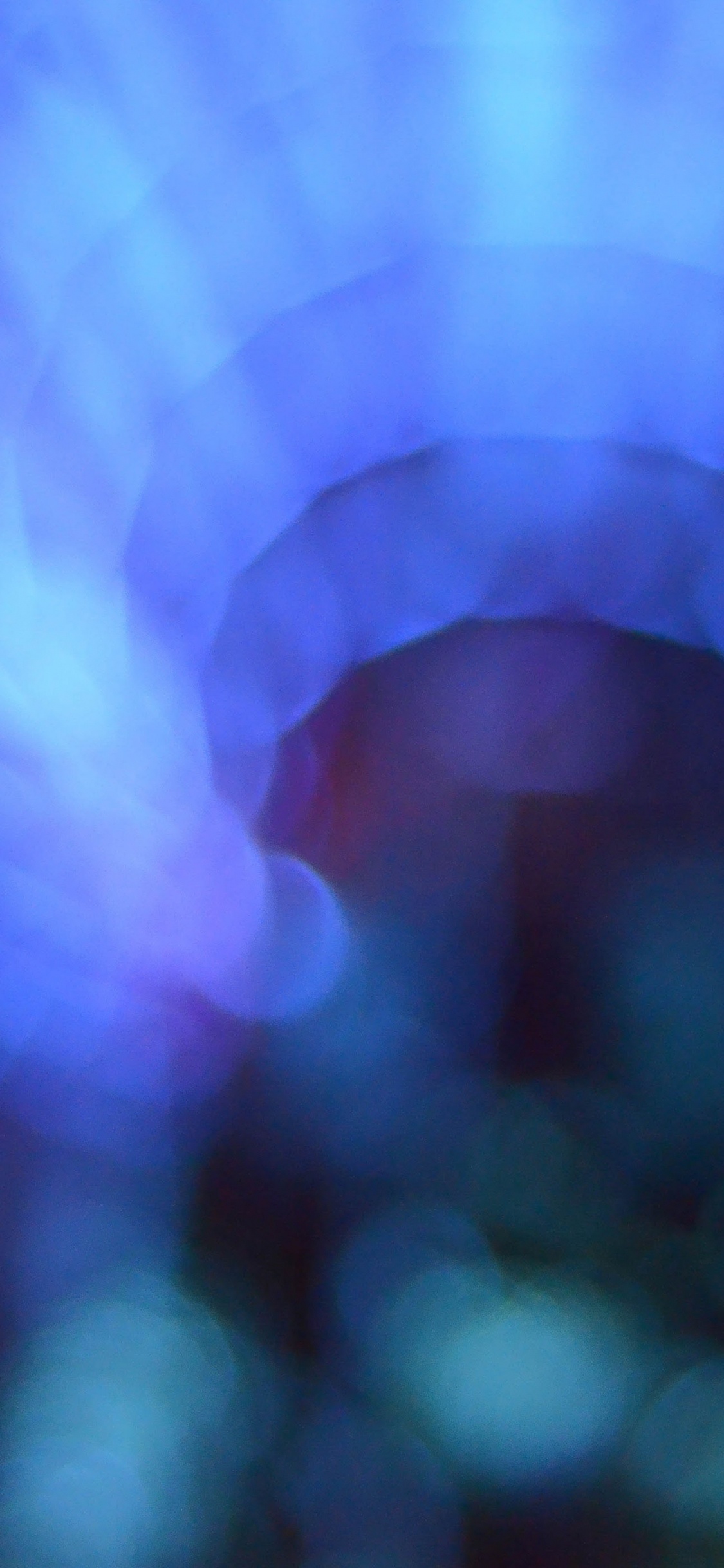 Обои apple, iPhone, iPhone X, яблоко, ios в разрешении 1125x2436