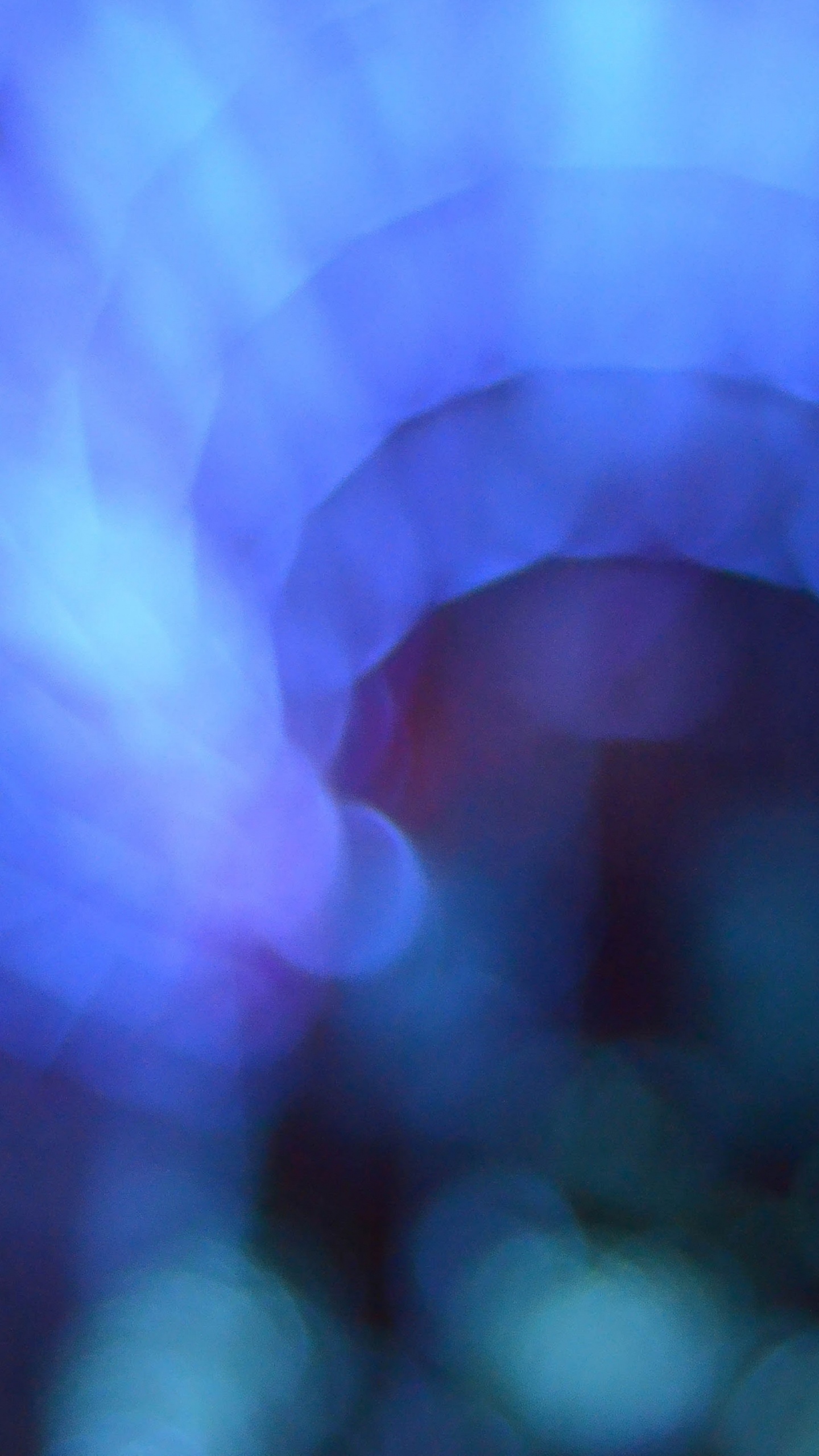 Обои apple, iPhone, iPhone X, яблоко, ios в разрешении 1440x2560