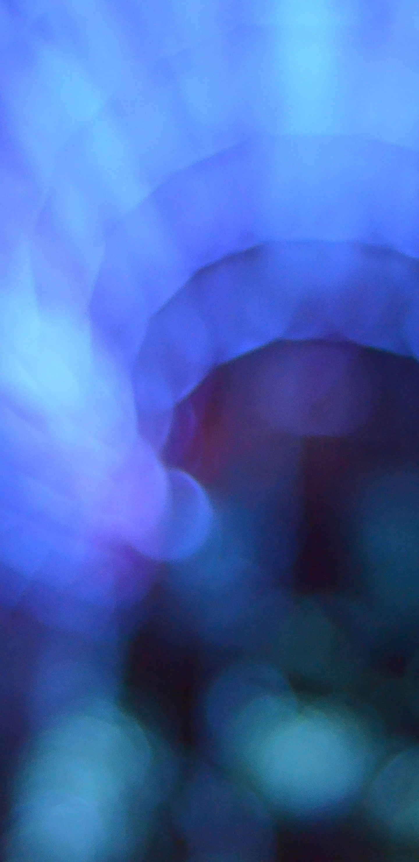 Обои apple, iPhone, iPhone X, яблоко, ios в разрешении 1440x2960