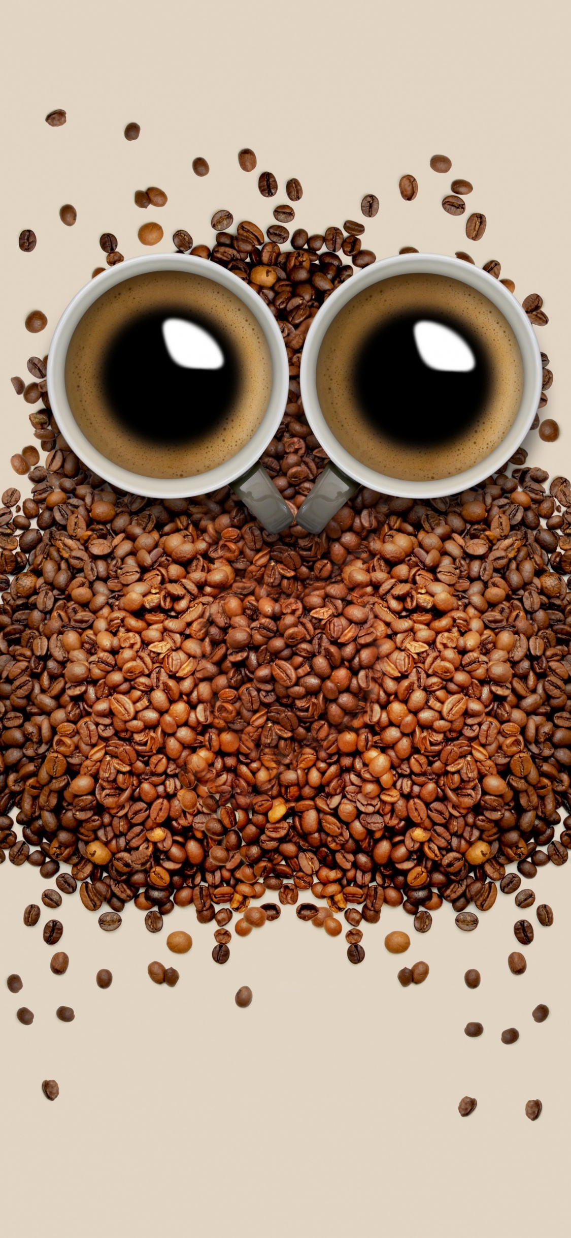 Обои кофе, кофейное зерно, сова, иллюстрация, птица в разрешении 1125x2436