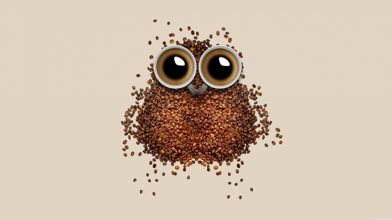 Обои кофе, кофейное зерно, сова, иллюстрация, птица в разрешении 1366x768