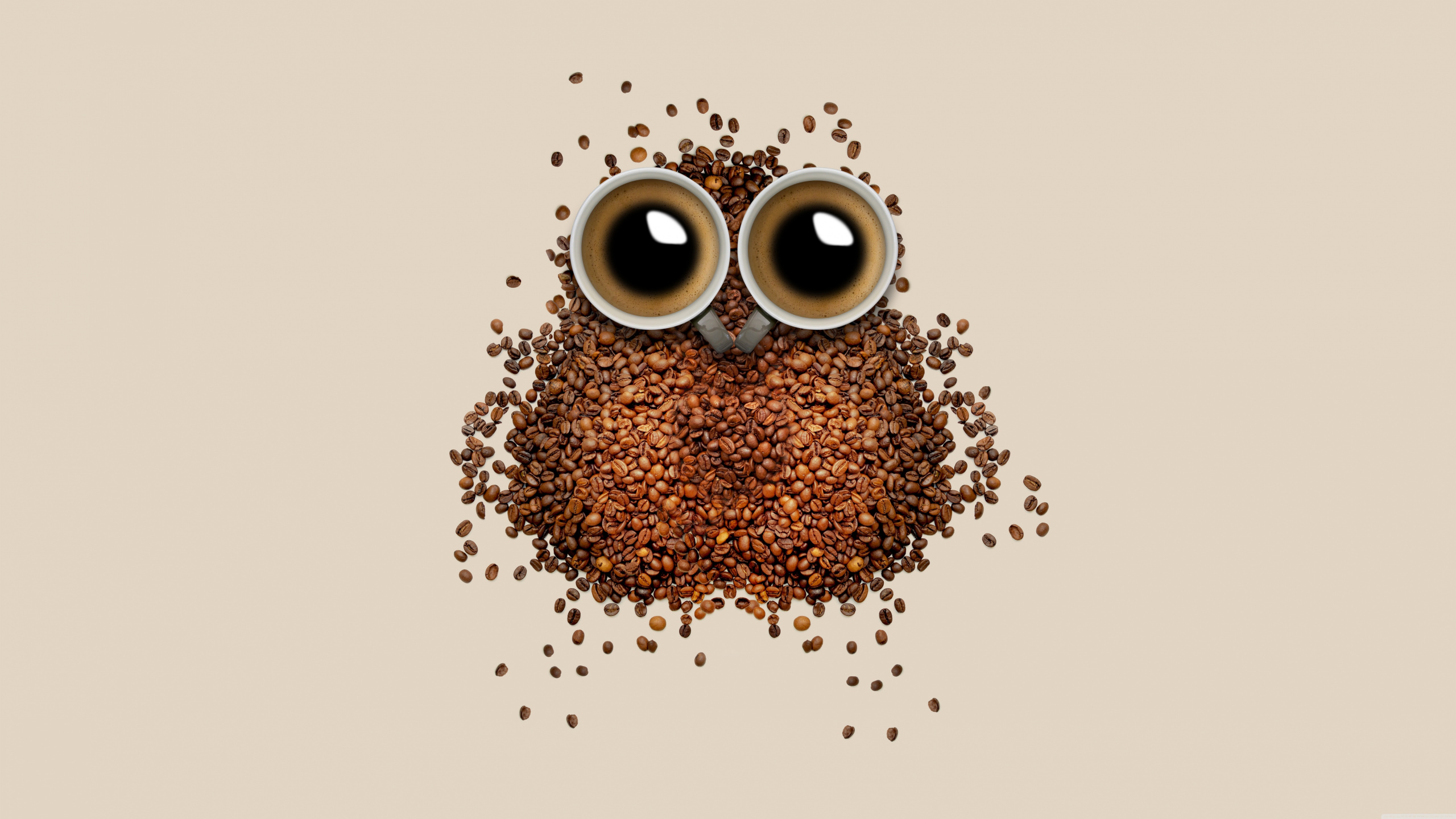 Обои кофе, кофейное зерно, сова, иллюстрация, птица в разрешении 2560x1440