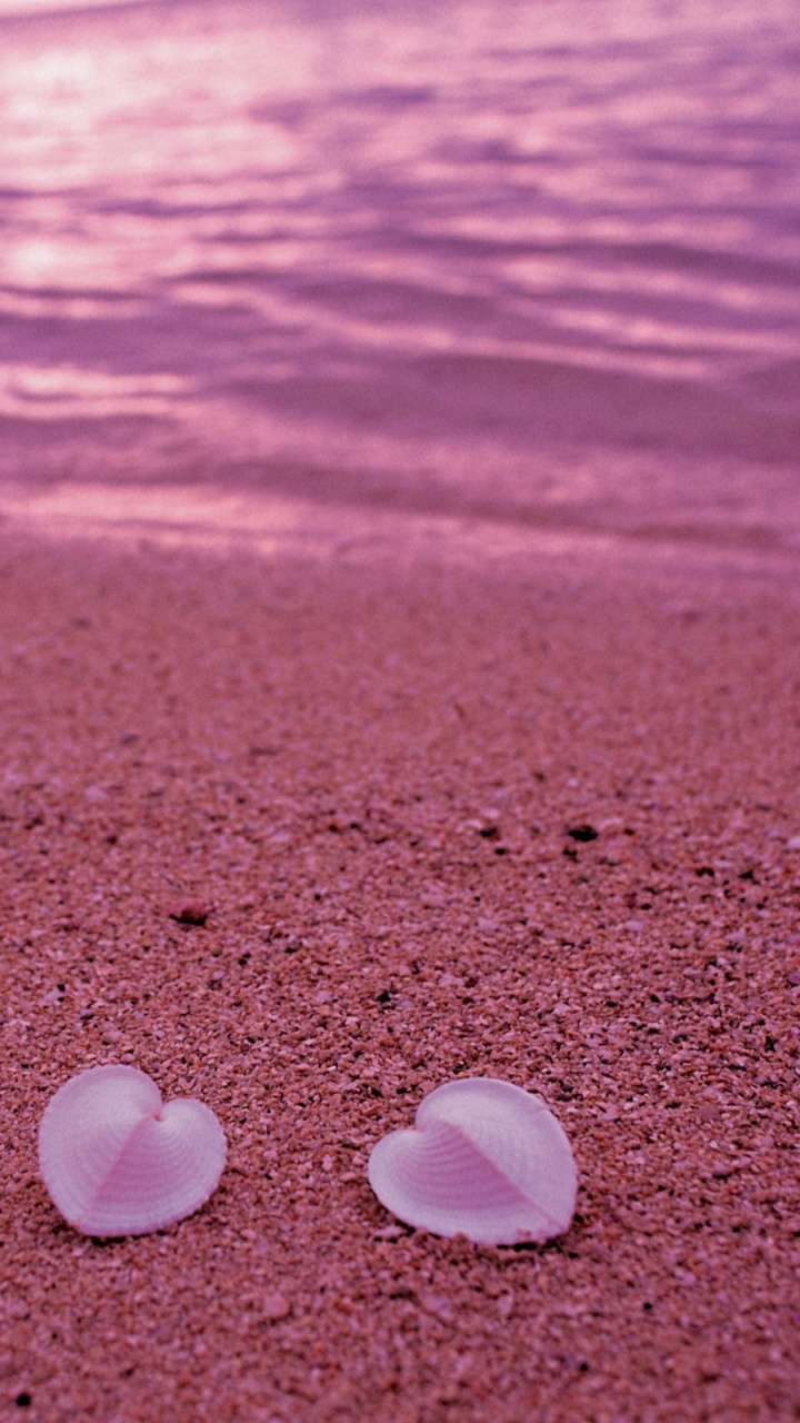 Обои море, розовые пески, берег, эльютера, утро в разрешении 720x1280