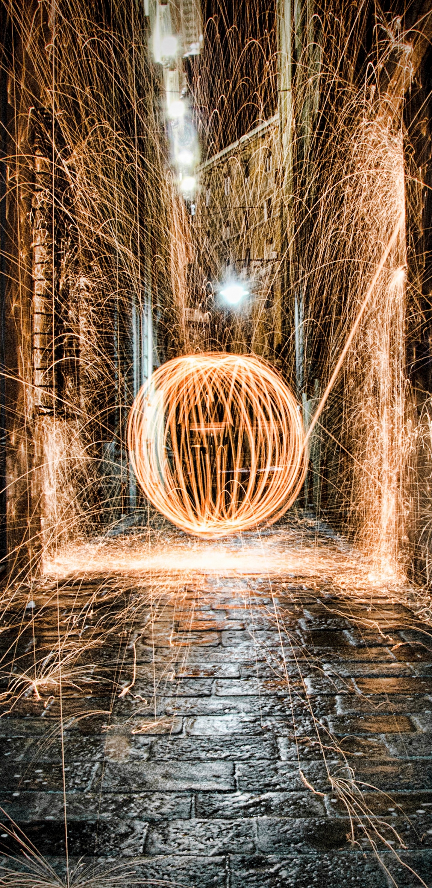 Обои свет, темнота, дерево, архитектура, инфраструктура в разрешении 1440x2960