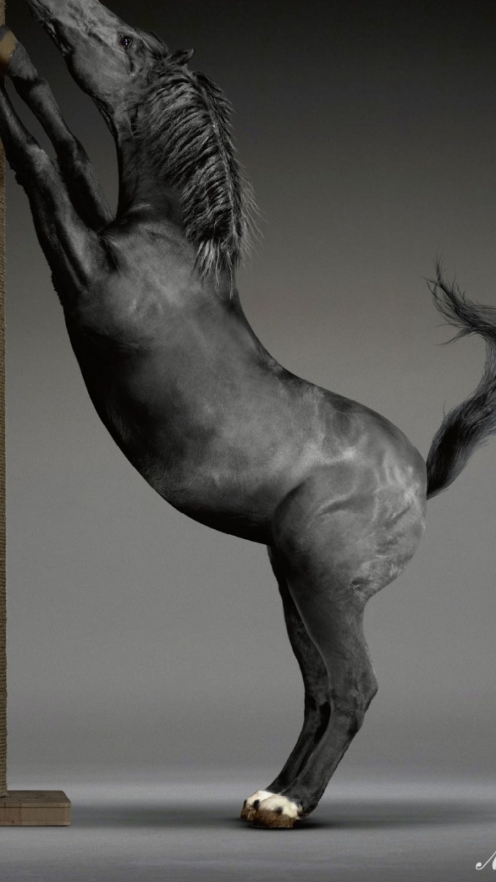 Обои Реклама, черный и белый, статуя, черно белые, скульптура в разрешении 720x1280