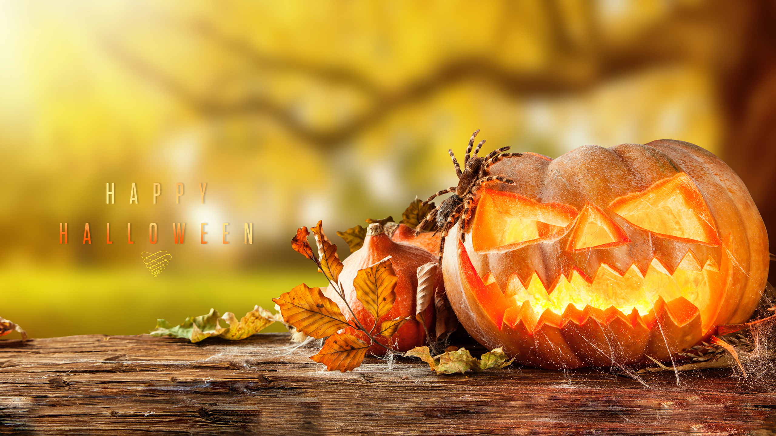 Обои Хэллоуин, тыква, калебас, зимний сквош, тыквенных в разрешении 2560x1440