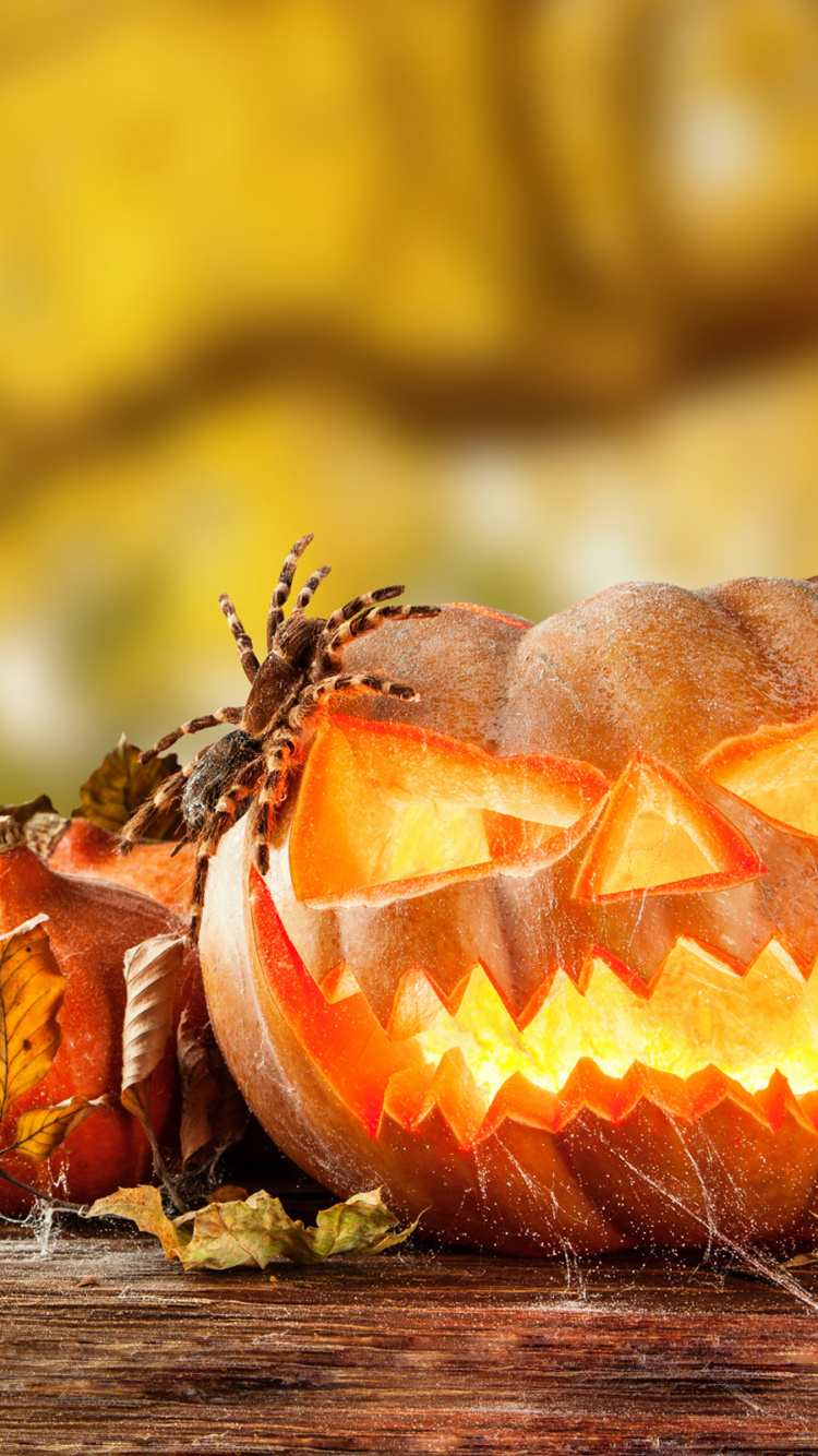 Обои Хэллоуин, тыква, калебас, зимний сквош, тыквенных в разрешении 750x1334