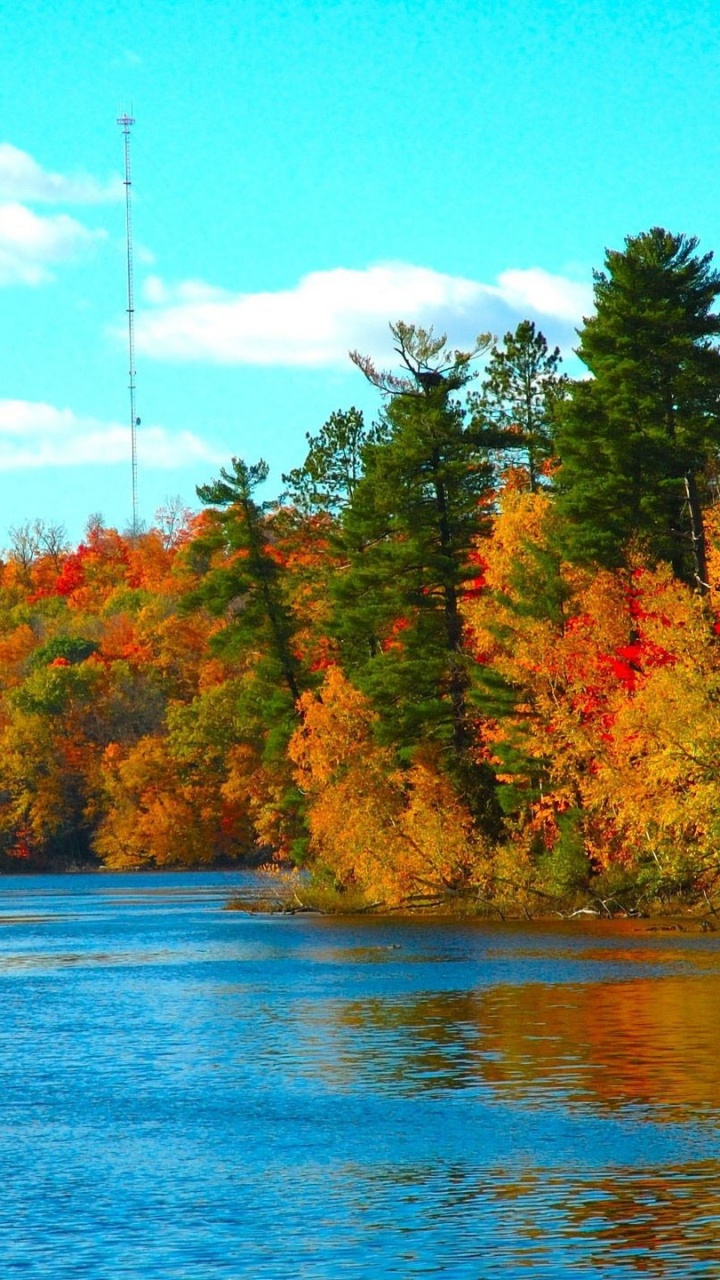 Обои природа, отражение, лист, осень, вода в разрешении 720x1280