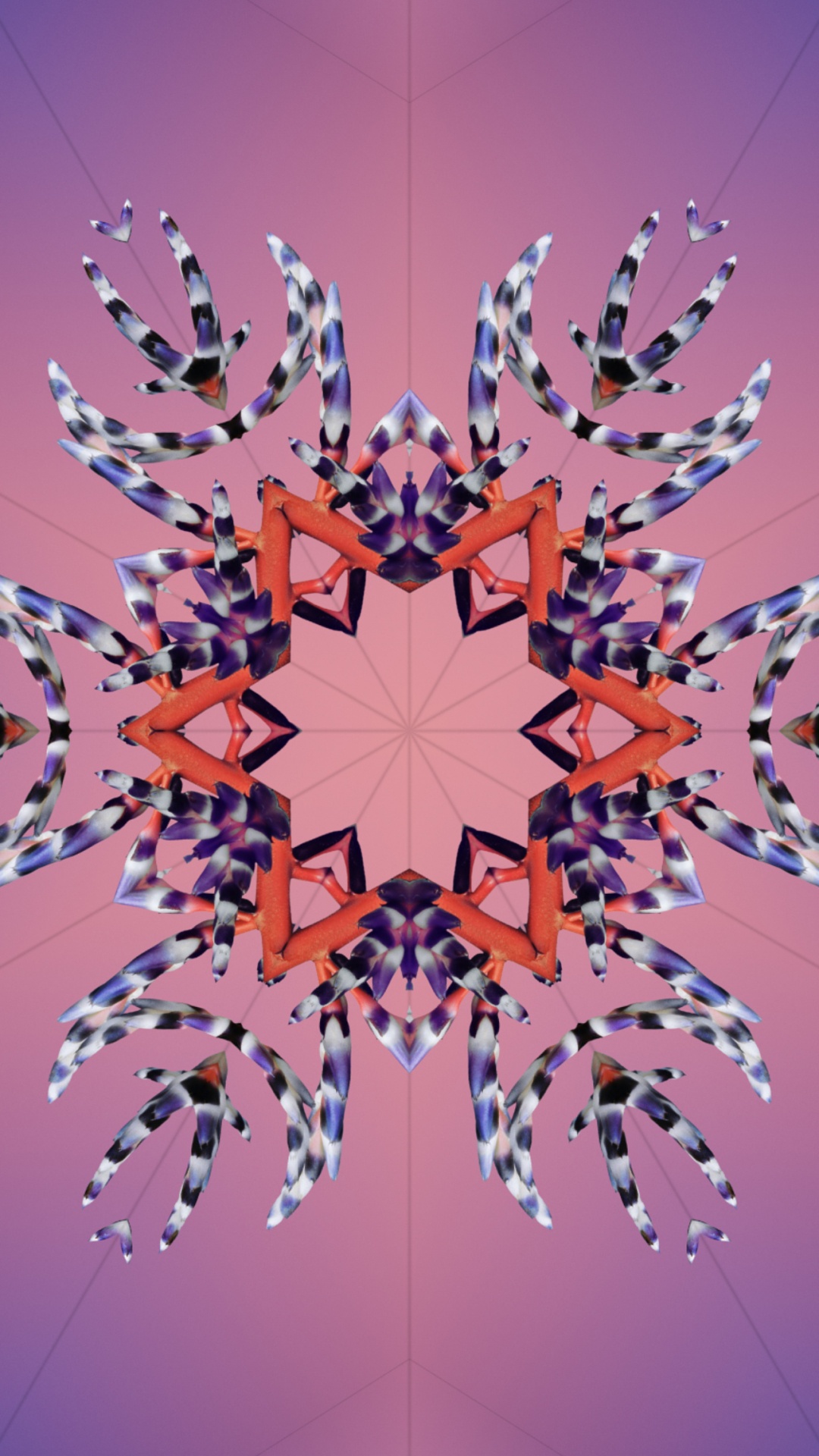 Обои iOS 17, ios 18, Эпл, всемирная конференция разработчиков, планшет в разрешении 1080x1920