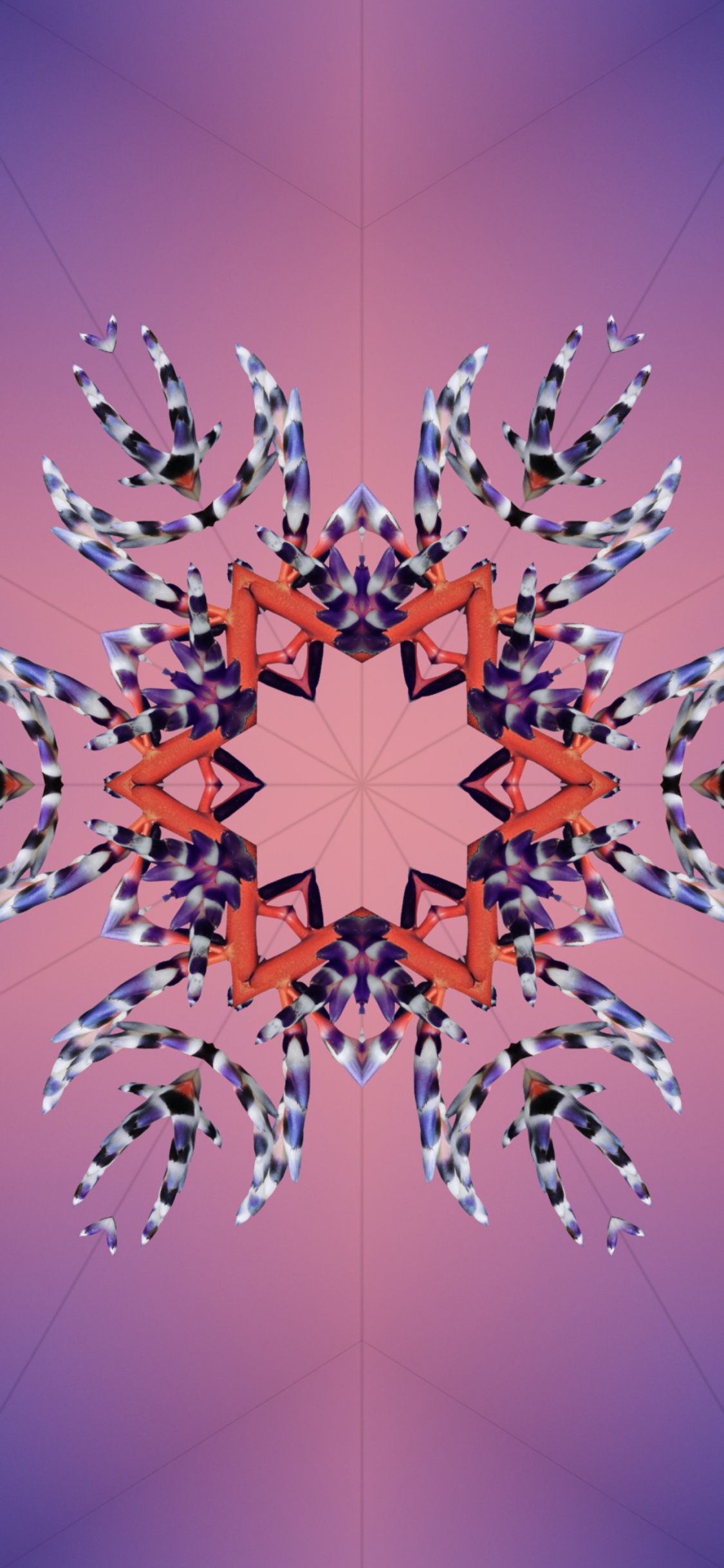 Обои iOS 17, ios 18, Эпл, всемирная конференция разработчиков, планшет в разрешении 1125x2436