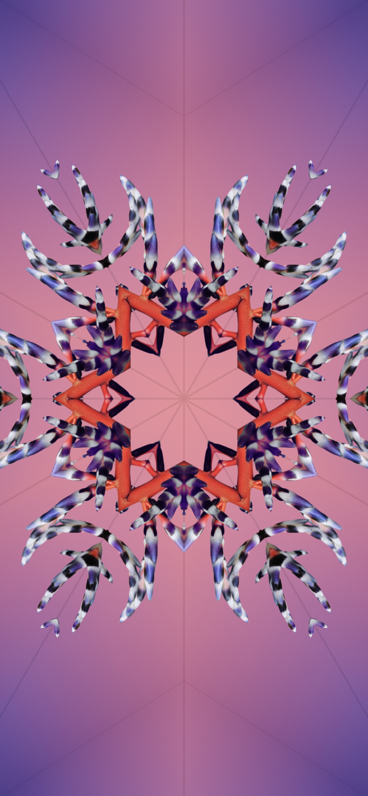 Обои iOS 17, ios 18, Эпл, всемирная конференция разработчиков, планшет в разрешении 1242x2688