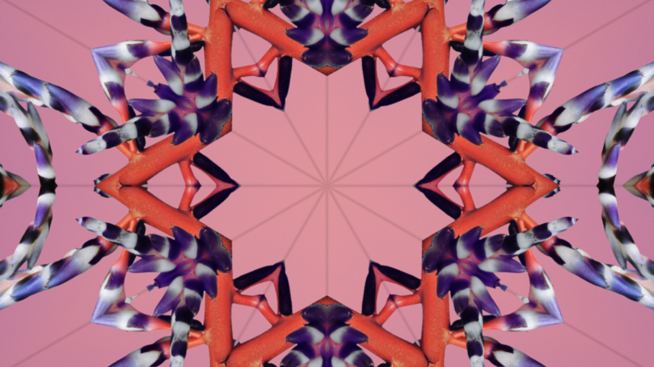 Обои iOS 17, ios 18, Эпл, всемирная конференция разработчиков, планшет в разрешении 1280x720