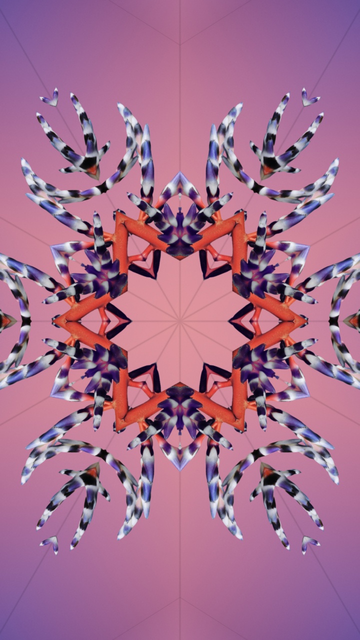 Обои iOS 17, ios 18, Эпл, всемирная конференция разработчиков, планшет в разрешении 720x1280