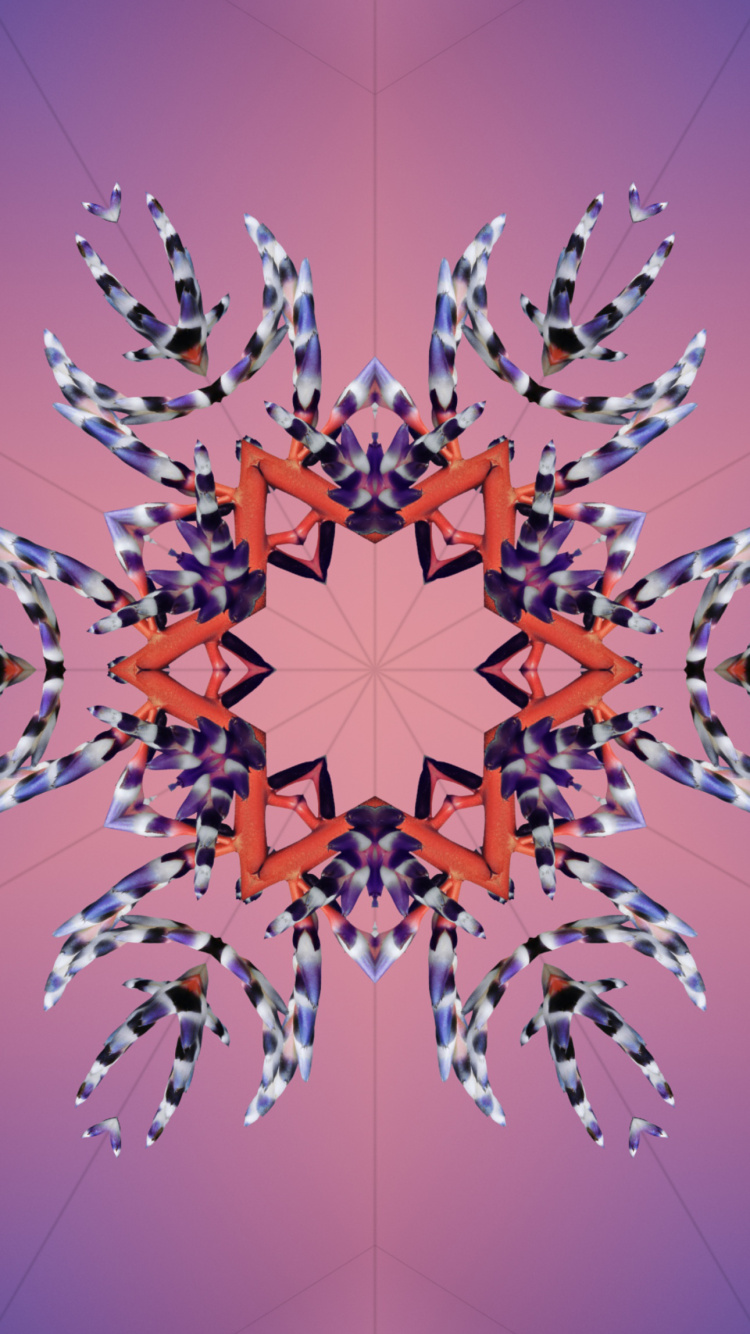 Обои iOS 17, ios 18, Эпл, всемирная конференция разработчиков, планшет в разрешении 750x1334