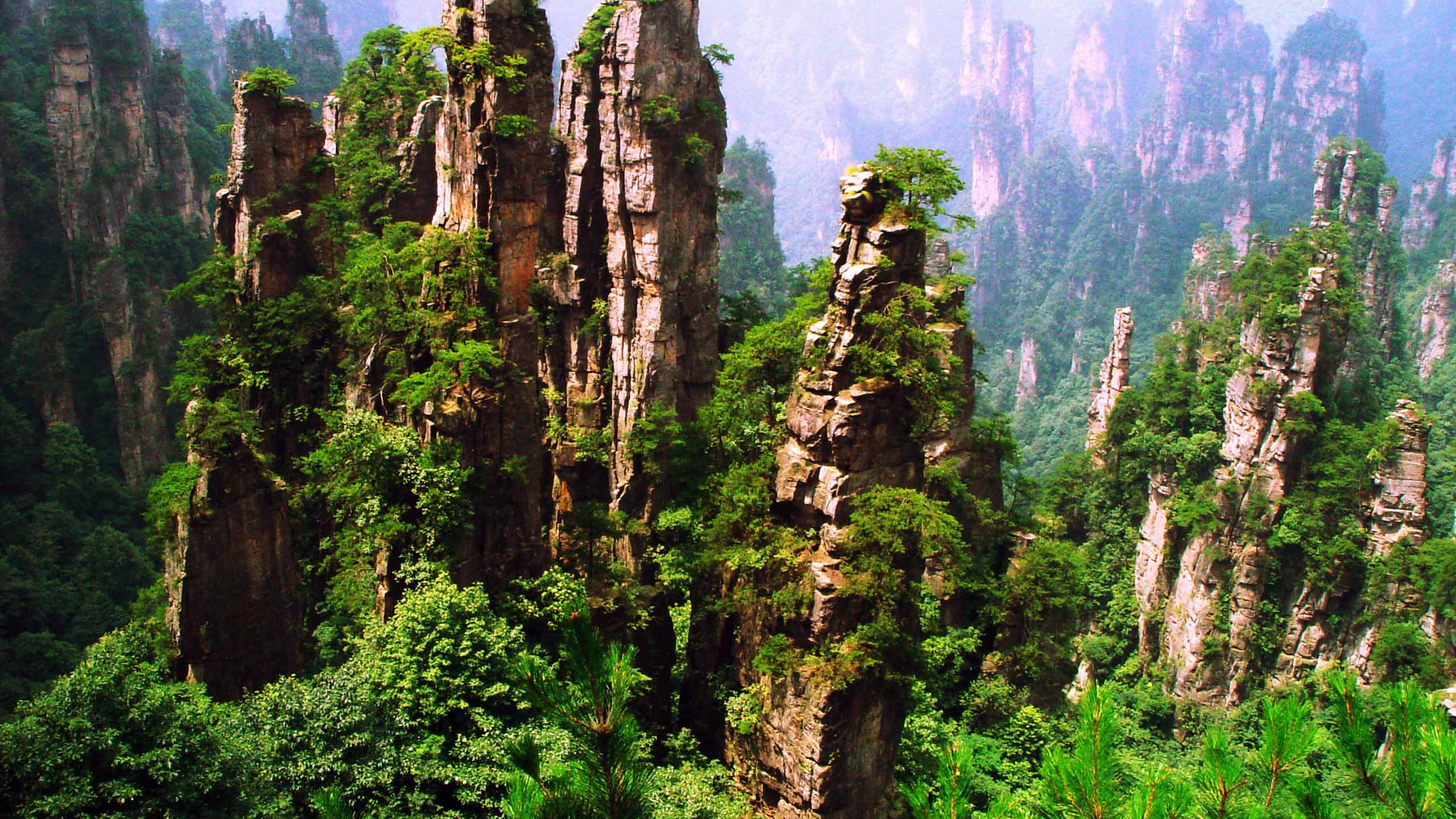Обои Чжанцзяцзе, Yangjiajie Живописный Район, Suoxi Долине, национальный парк, Гора Тяньмэнь в разрешении 2560x1440