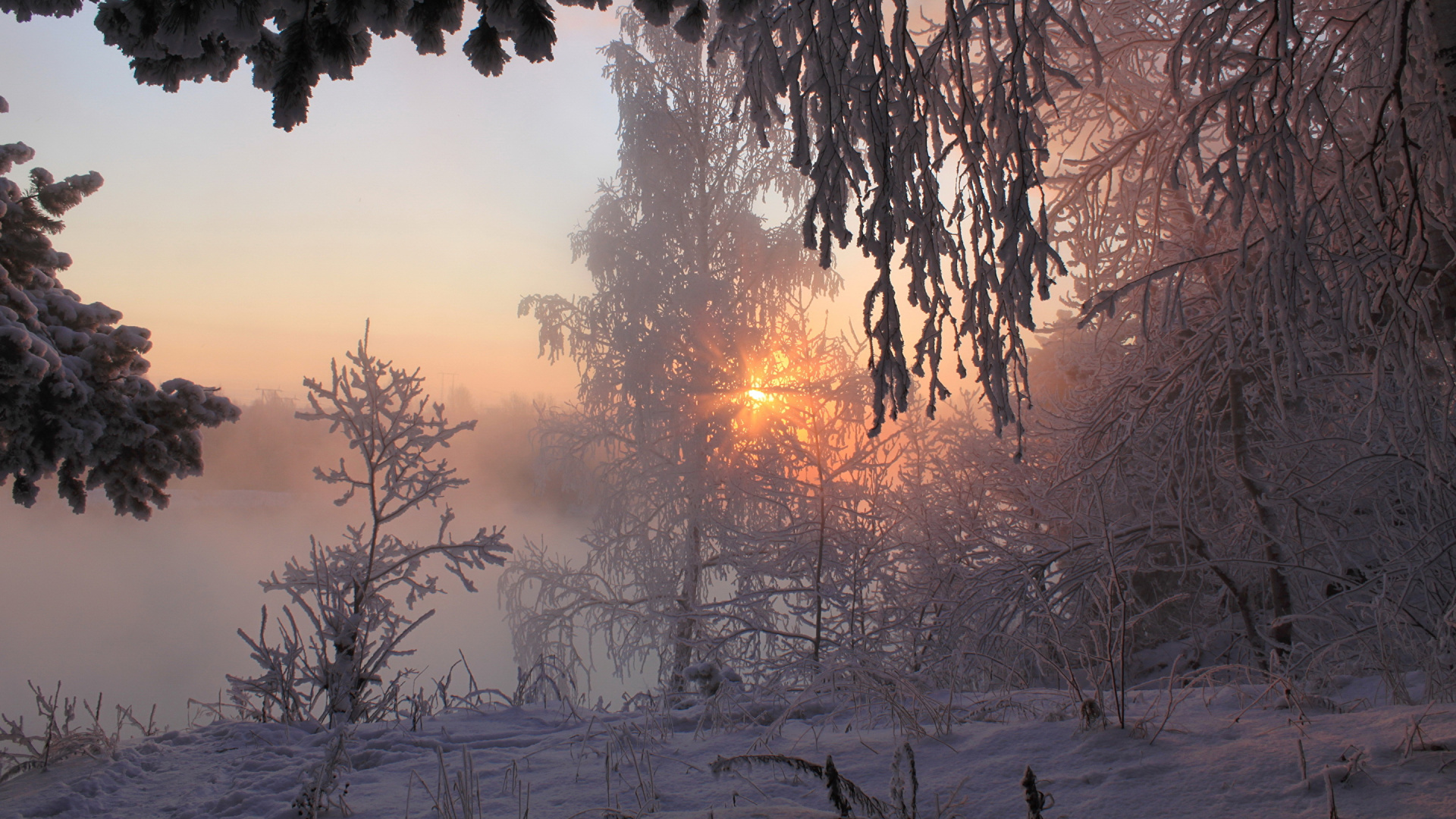 Обои зима, снег, дерево, замораживание, утро в разрешении 1920x1080