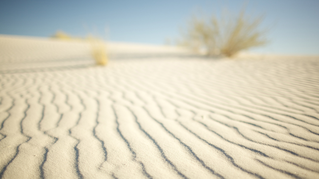 Обои песок, пустыня, Дюна, эрг, эолийские рельефы в разрешении 1280x720