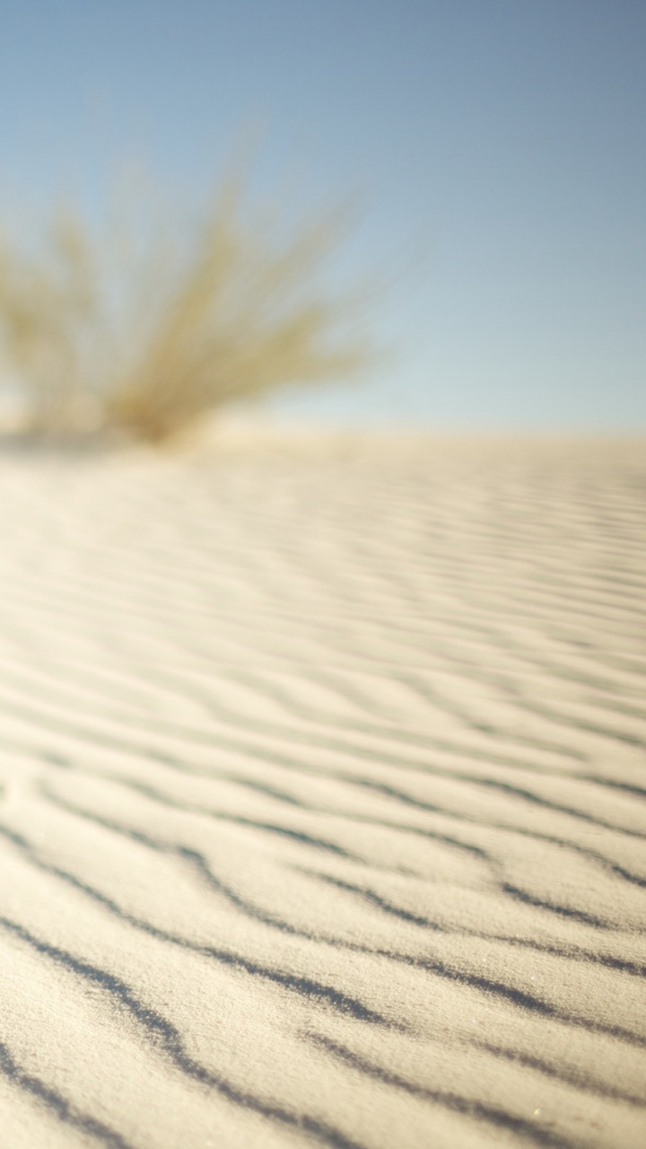 Обои песок, пустыня, Дюна, эрг, эолийские рельефы в разрешении 720x1280