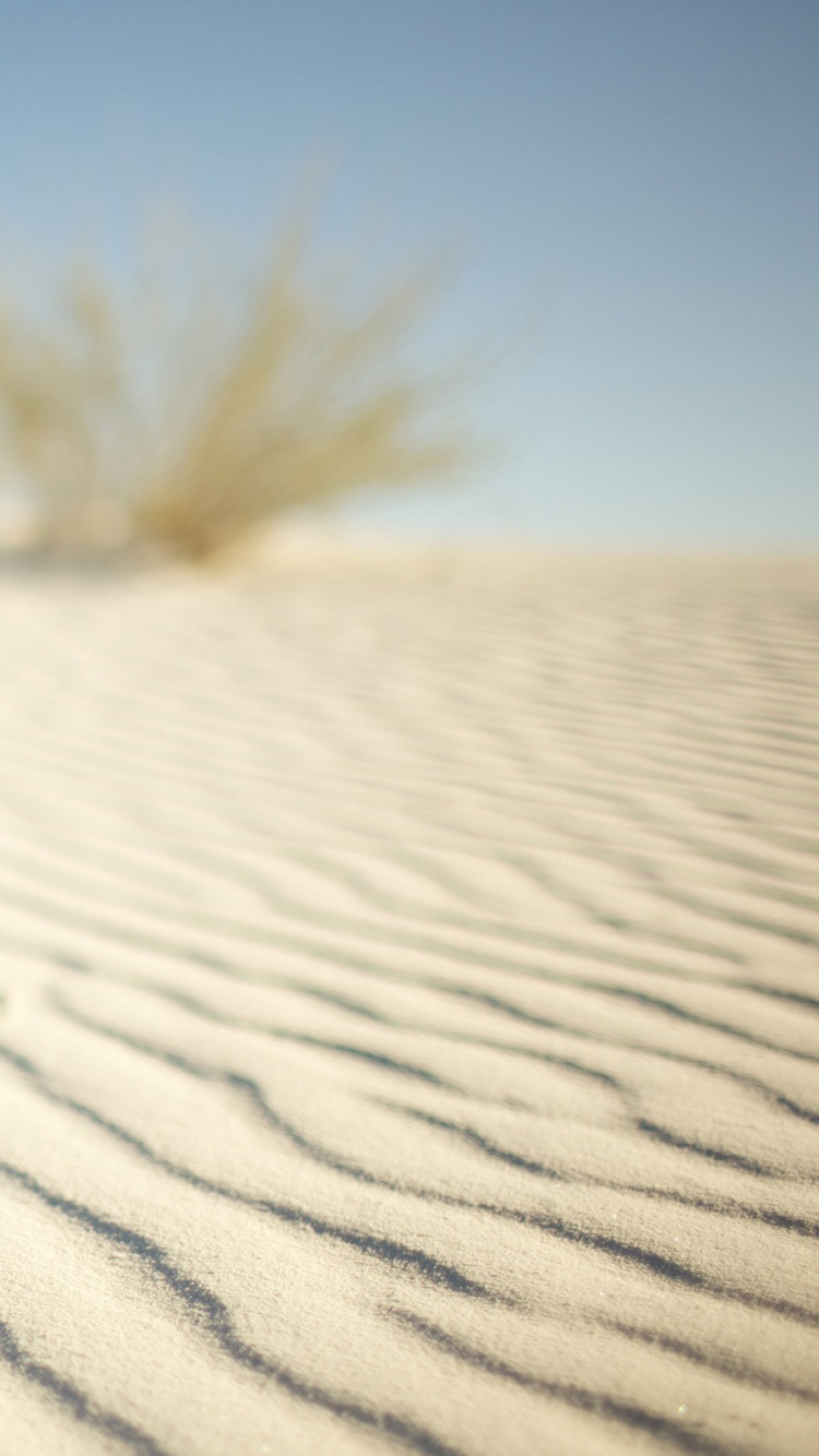 Обои песок, пустыня, Дюна, эрг, эолийские рельефы в разрешении 750x1334