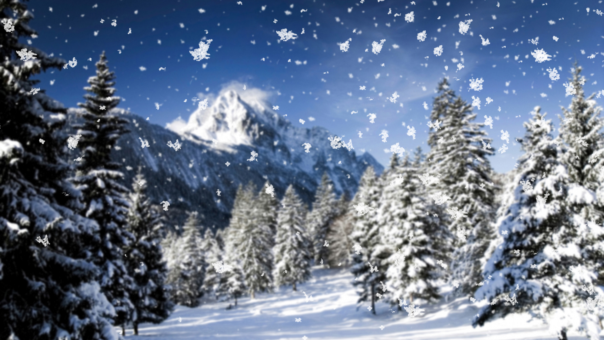 Обои Снежинка, снег, зима, дерево, природа в разрешении 1920x1080