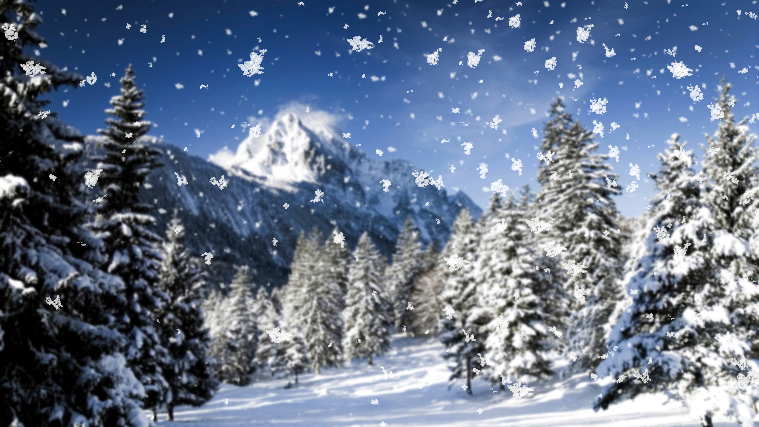 Обои Снежинка, снег, зима, дерево, природа в разрешении 2560x1440