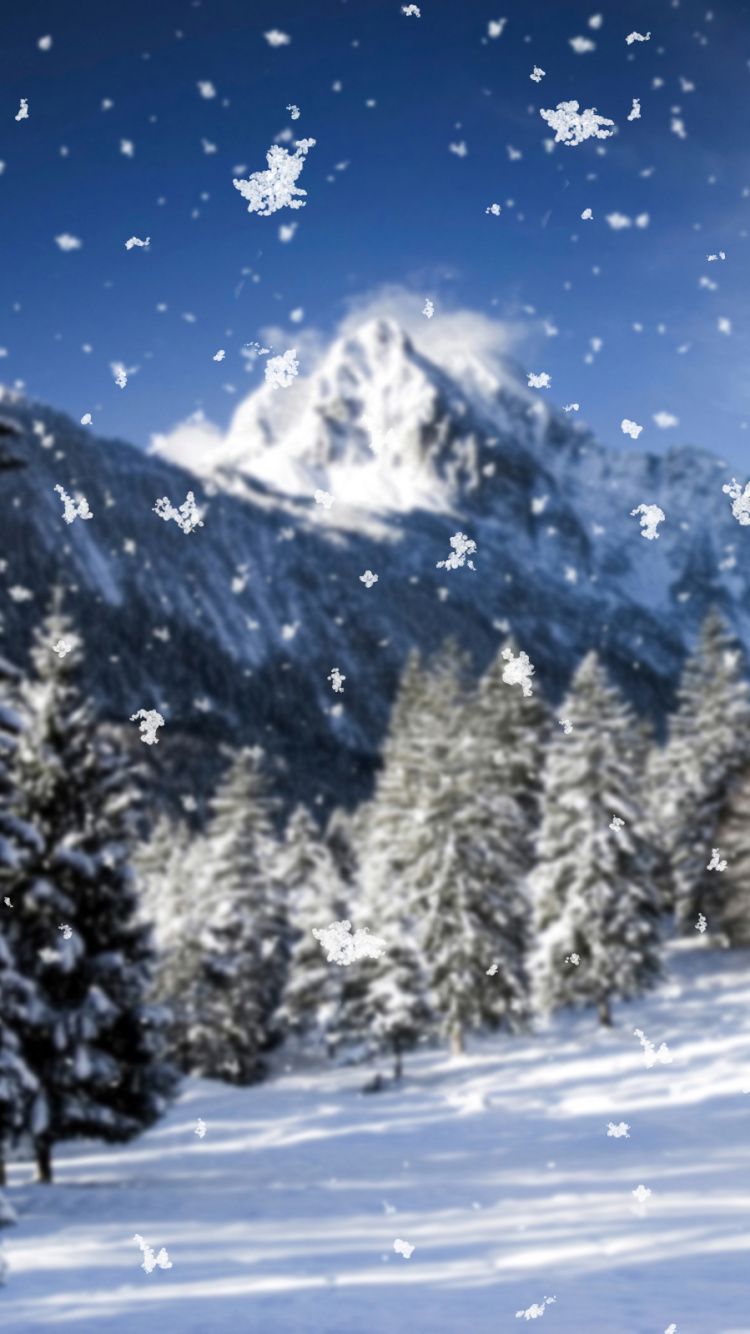 Обои Снежинка, снег, зима, дерево, природа в разрешении 750x1334