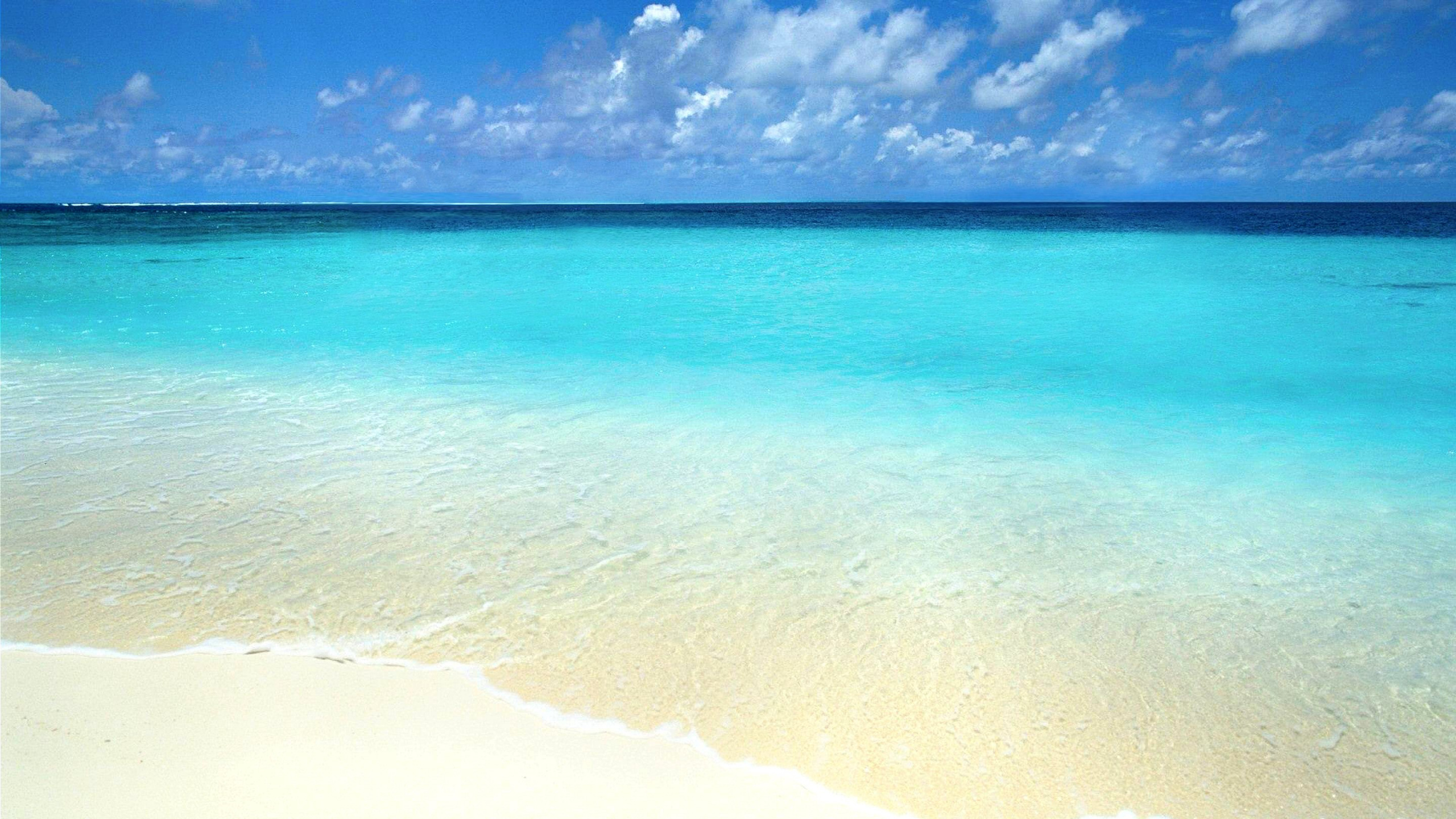 Обои пляж, море, водоем, синий, океан в разрешении 2560x1440