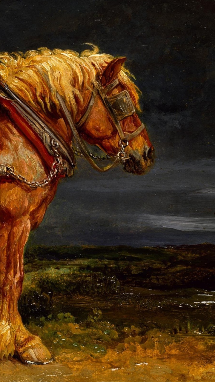 Обои живопись, грива, жеребец, кобыла, живая природа в разрешении 720x1280