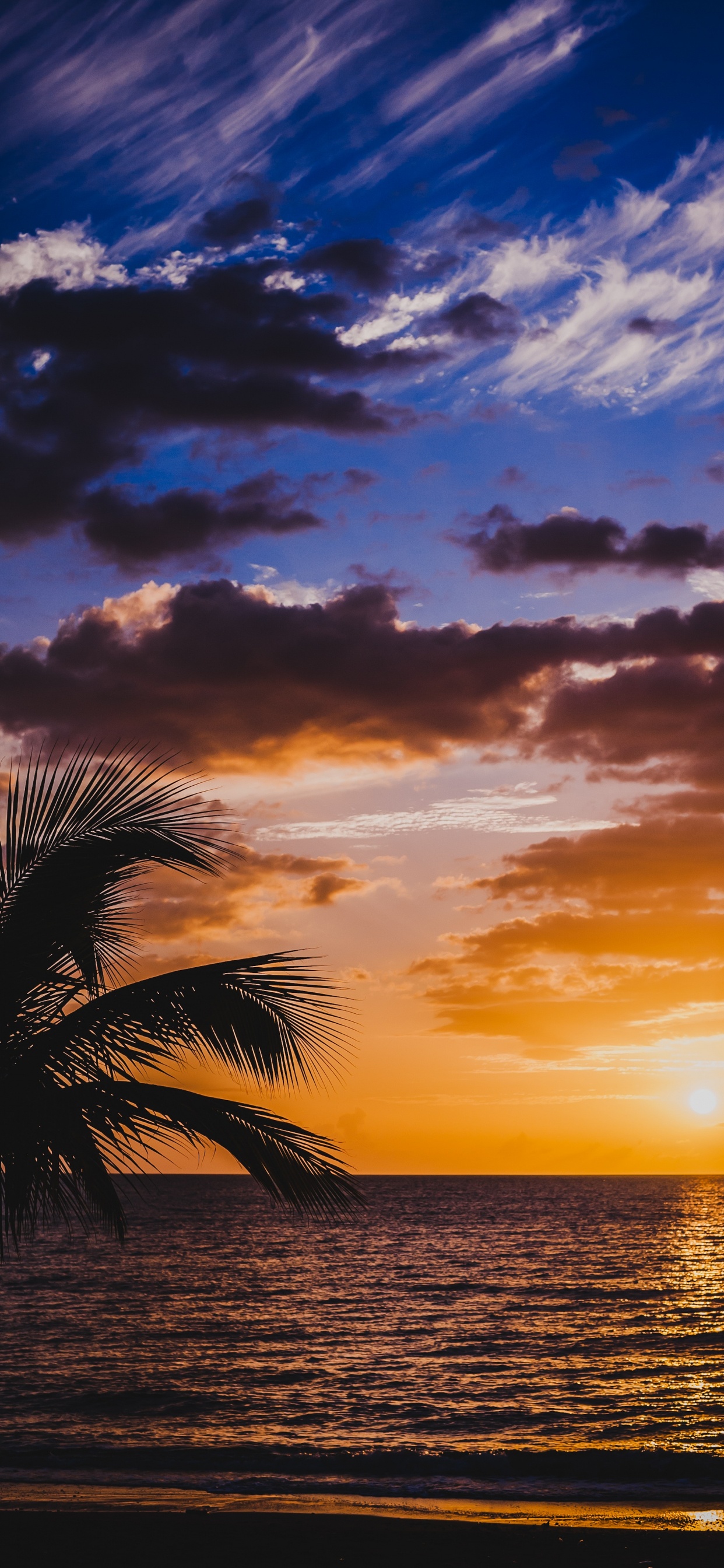 Обои горизонт, послесвечение, закат, природа, восход солнца в разрешении 1242x2688