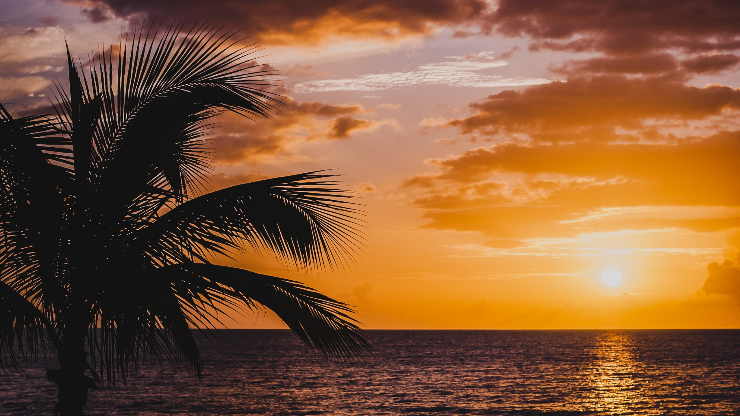 Обои горизонт, послесвечение, закат, природа, восход солнца в разрешении 2560x1440