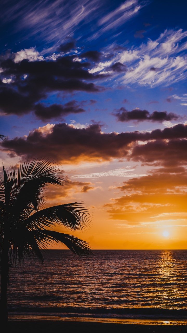 Обои горизонт, послесвечение, закат, природа, восход солнца в разрешении 720x1280