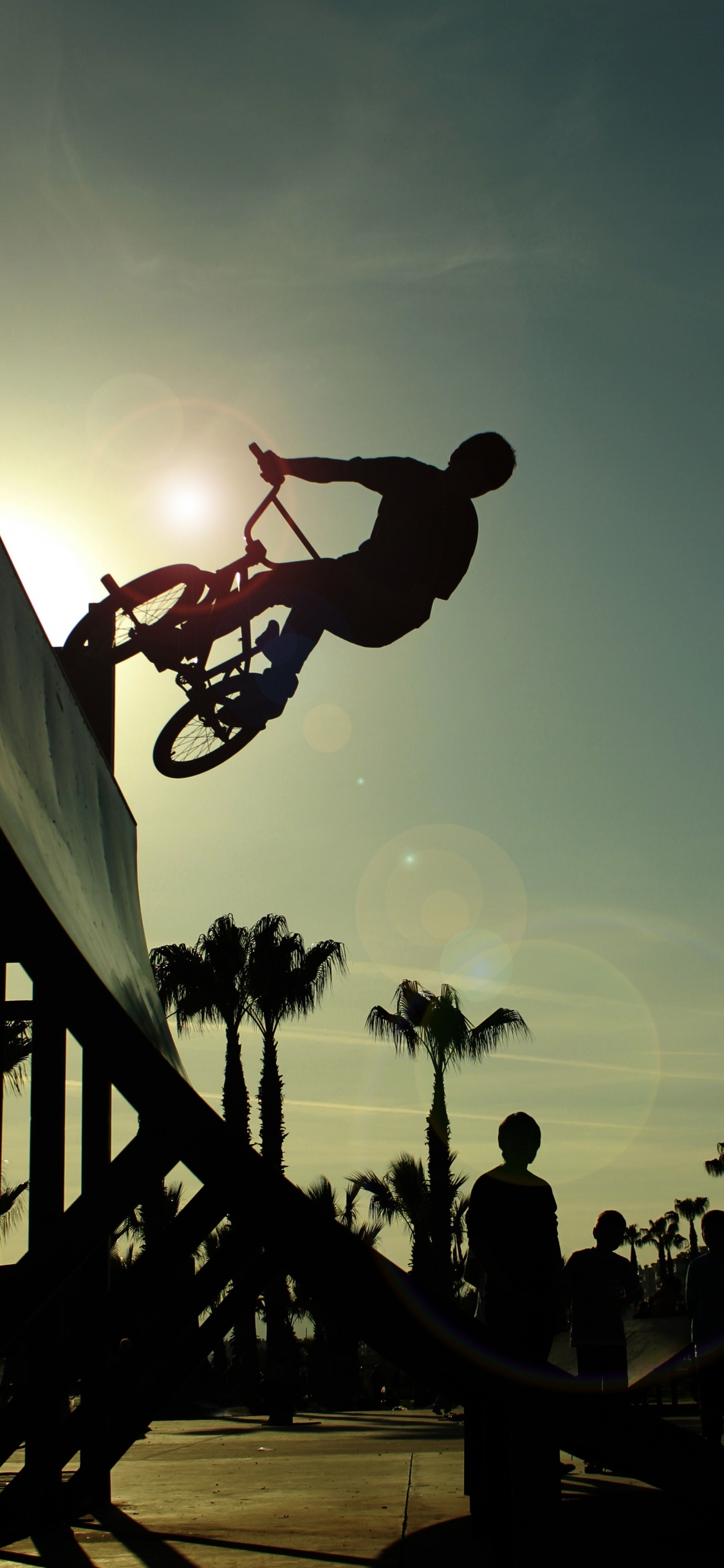 Обои bmx велосипед, велосипед, велосипед BMX, Фристайл BMX, велосипедный спорт в разрешении 1125x2436