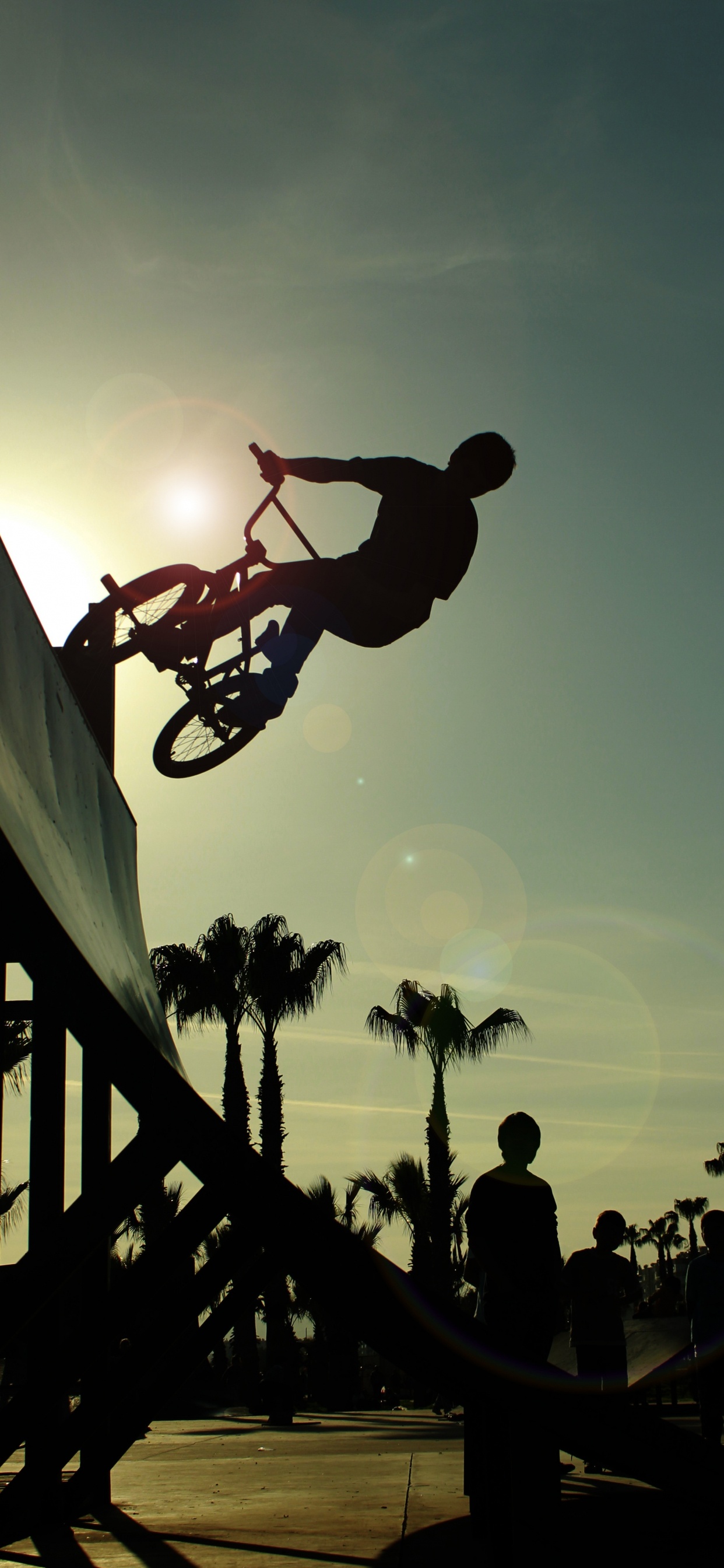 Обои bmx велосипед, велосипед, велосипед BMX, Фристайл BMX, велосипедный спорт в разрешении 1242x2688