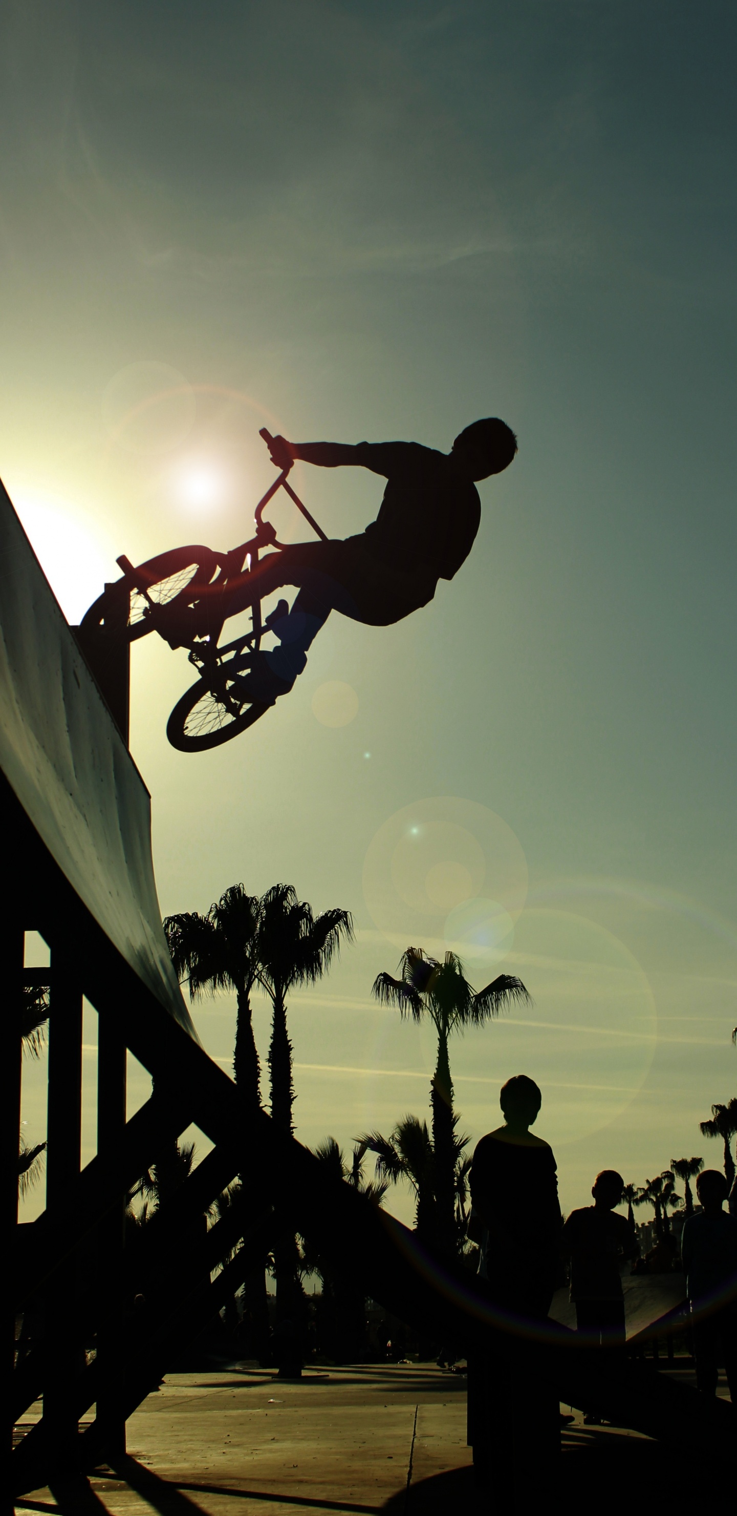 Обои bmx велосипед, велосипед, велосипед BMX, Фристайл BMX, велосипедный спорт в разрешении 1440x2960