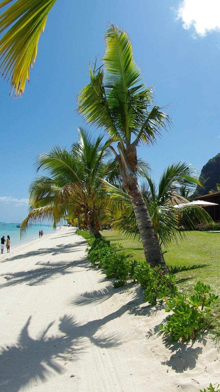 Обои пляж, море, коттедж, тропическая зона, отпуск в разрешении 720x1280