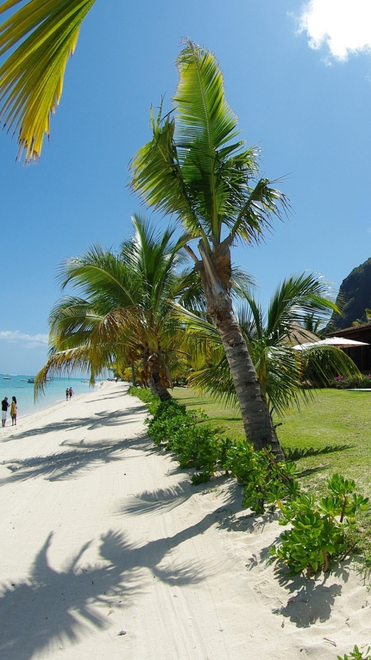 Обои пляж, море, коттедж, тропическая зона, отпуск в разрешении 750x1334