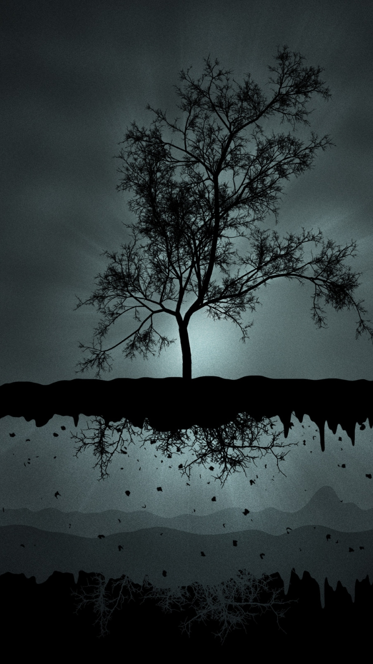 Обои черный, природа, дерево, черно белые, черно-белая фотография в разрешении 750x1334