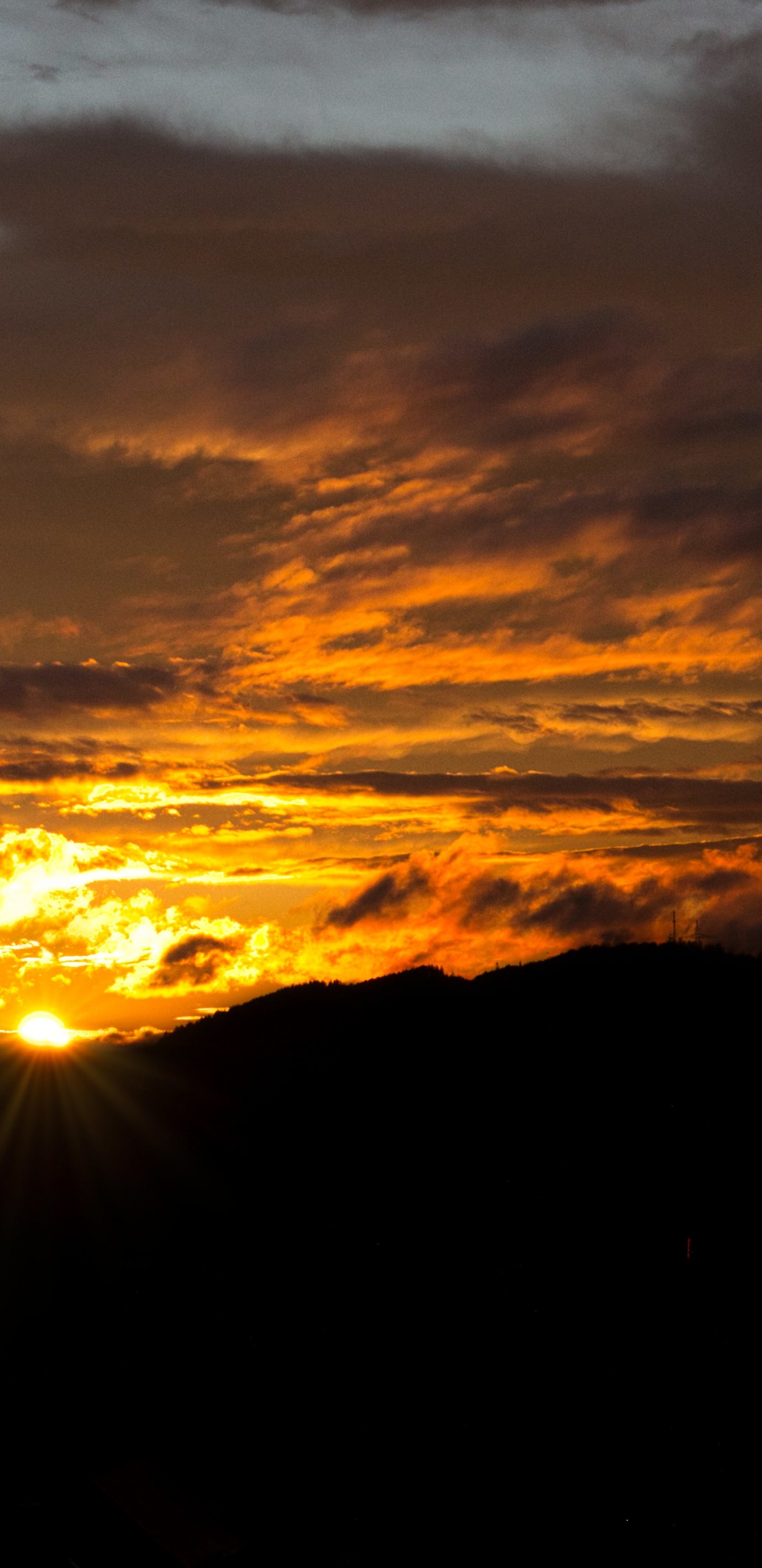 Обои закат, облако, атмосфера, экорегион, Янтарь в разрешении 1440x2960