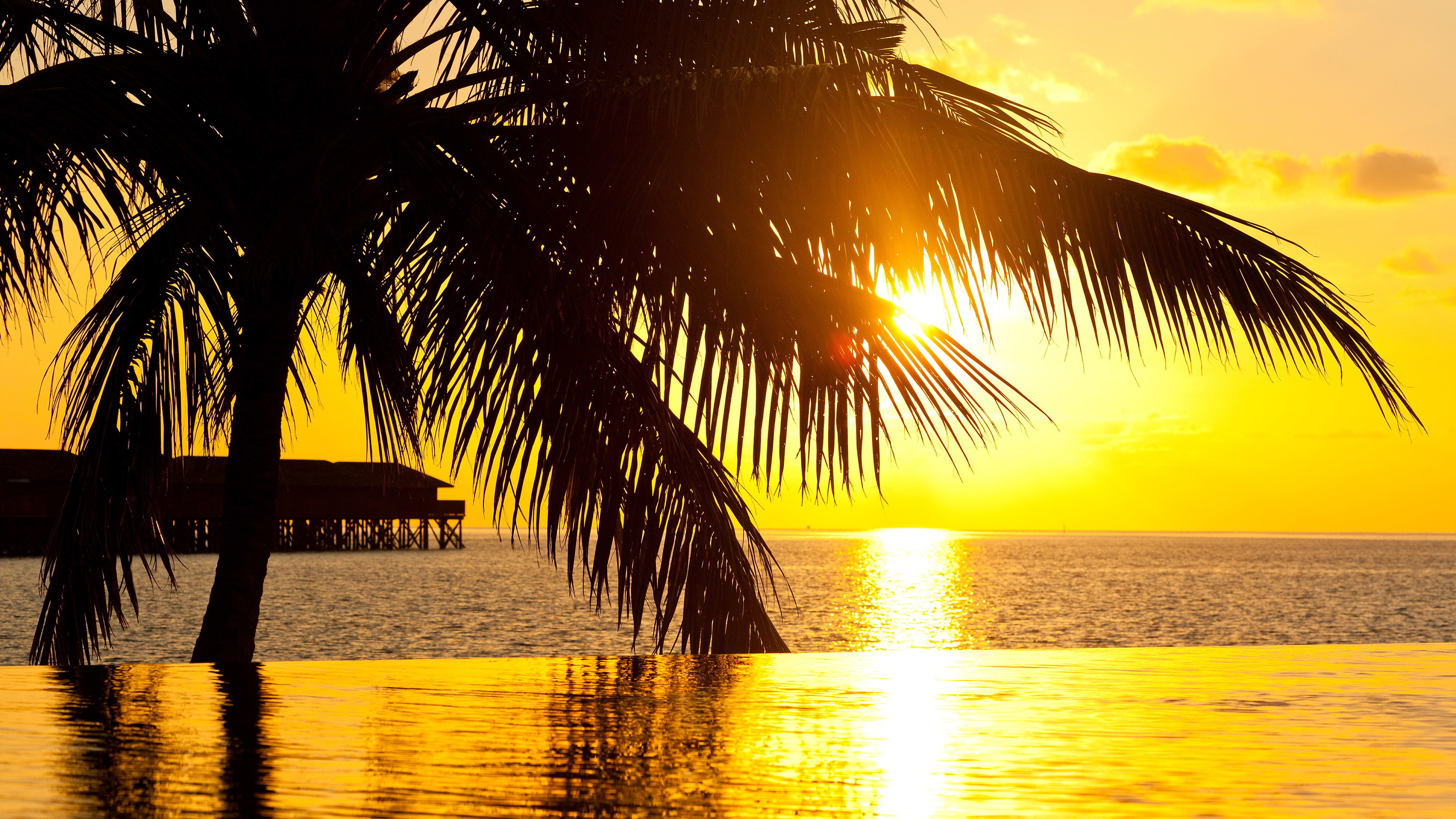 Обои закат, море, Пальма, горизонт, восход солнца в разрешении 3840x2160