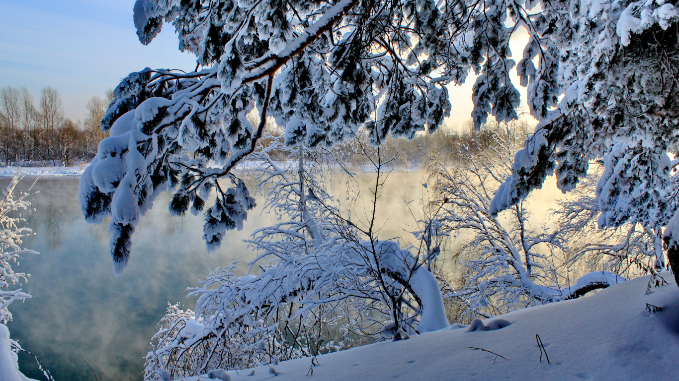 Обои снег, зима, вода, замораживание, дерево в разрешении 1366x768