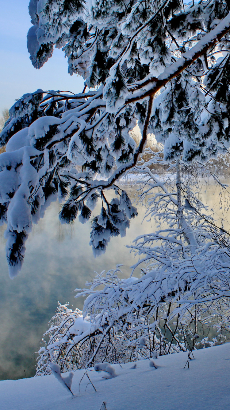 Обои снег, зима, вода, замораживание, дерево в разрешении 750x1334